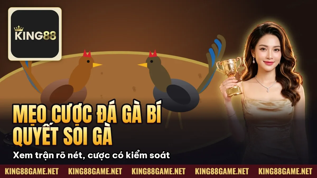 Mẹo Cược Đá Gà Thắng Lớn – Bí Quyết Soi Gà Cao Thủ Mẹo Cược Đá Gà Thắng Lớn – Bí Quyết Soi Gà Cao Thủ