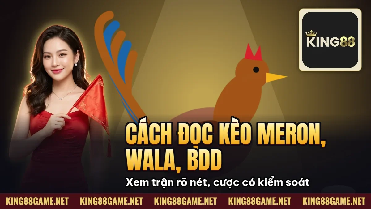 Cách Đọc Kèo Meron, Wala, BDD Trong cá Cược Đá Gà 2026 Cách Đọc Kèo Meron, Wala, BDD Trong cá Cược Đá Gà 2026